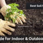 Best Soil for Plants