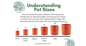 Plant Pot Size Calculator