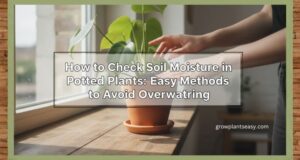 checking soil moisture of plant using finger test