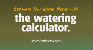 how much to water plants