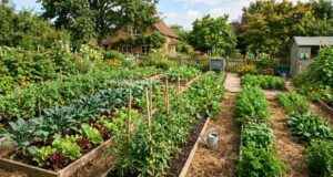 Calculate the True Value of Your Garden