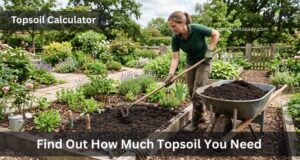 Find Out How Much Topsoil You Need
