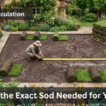 How Much Sod Do You Need Guide