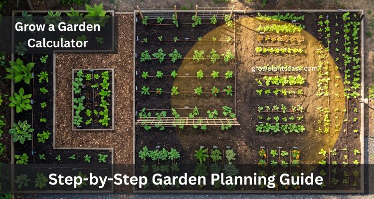 How to Plan Your Garden Using the Calculator