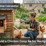 Estimate Coop Space for Chickens