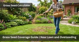 Estimate Lawn Seed Coverage Easily