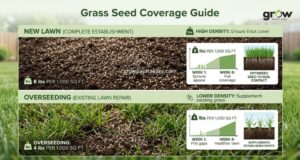 Grass Seed Coverage Guide
