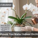 Orchid Watering Calculator