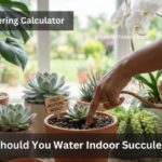 Succulent Watering Calculator