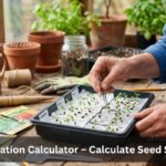 Calculate Seed Success Rate