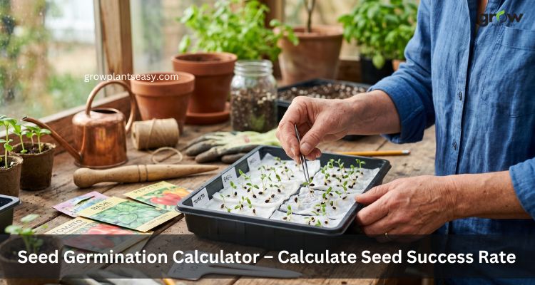Calculate Seed Success Rate