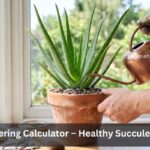 Aloe Vera Watering Calculator