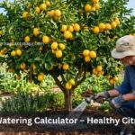 Lemon Tree Watering Calculator