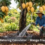 Mango Tree Watering Calculator