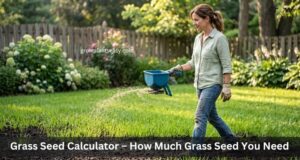 Grass Seed Calculator