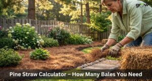 Pine Straw Calculator