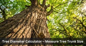 Tree Diameter Calculator