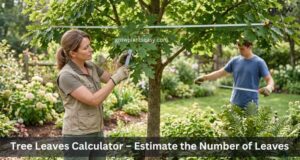 Tree Leaves Calculator