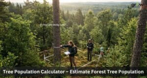 Tree Population Calculator