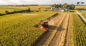 Estimate Corn Production