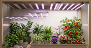 Estimate Indoor Plant Lighting